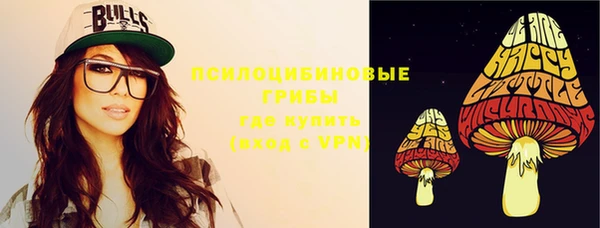 спиды Горнозаводск