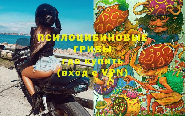 бошки Горно-Алтайск
