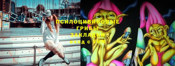 спиды Горнозаводск